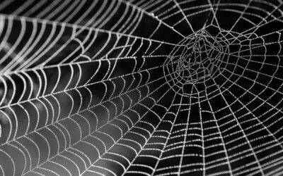 Netlify vs Vercel for Static Site Hosting: Which One Should You Choose in 2026?